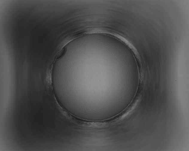 X0000100950905200807151334