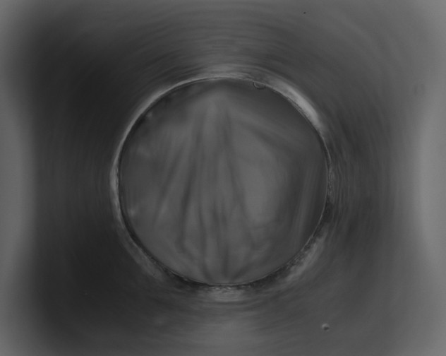 X0000100950907200807151334