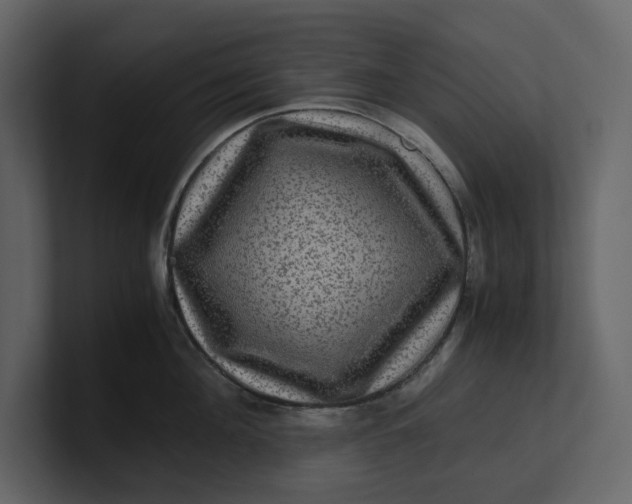 X0000100950908200807151334