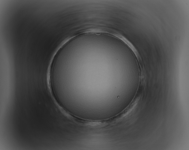 X0000100950909200807151334