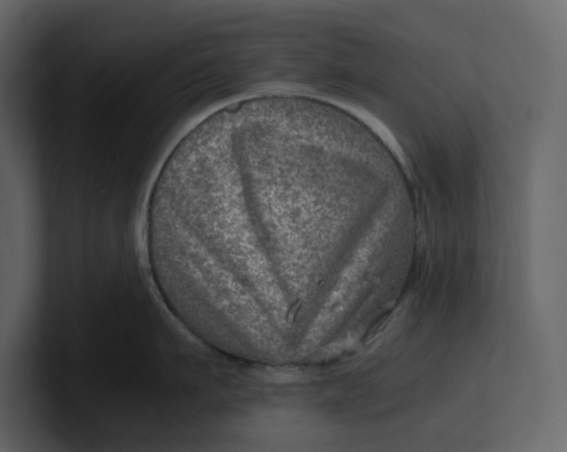 X0000100950911200807151334