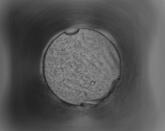 X0000100950912200807151334