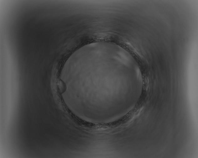 X0000100950913200807151333