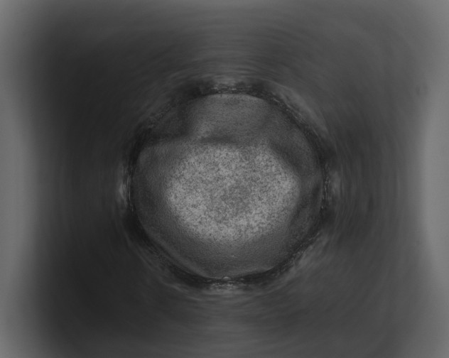 X0000100950914200807151333