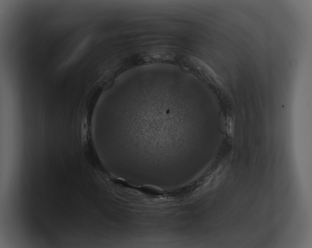 X0000100950915200807151333