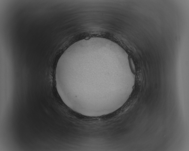 X0000100950916200807151333