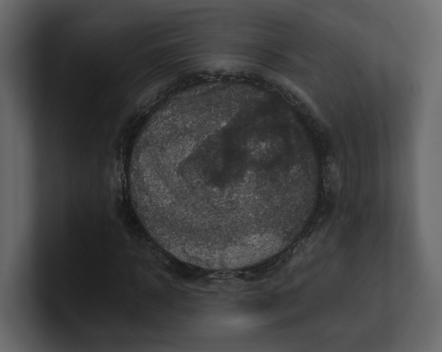 X0000100950918200807151333