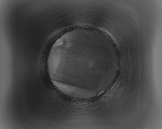 X0000100950919200807151334