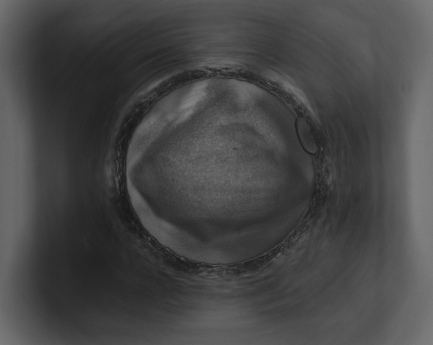 X0000100950920200807151334