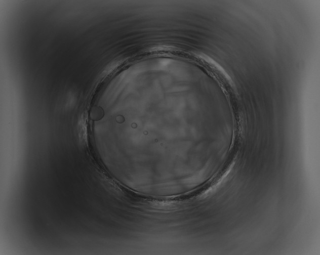 X0000100950921200807151334