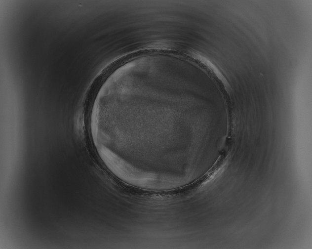 X0000100950923200807151334