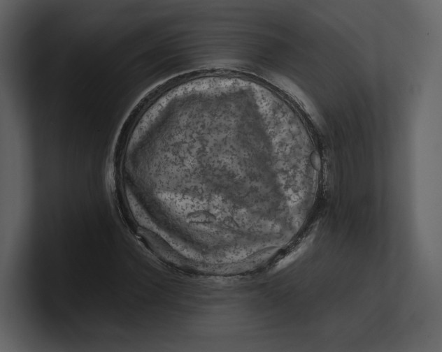 X0000100950924200807151334