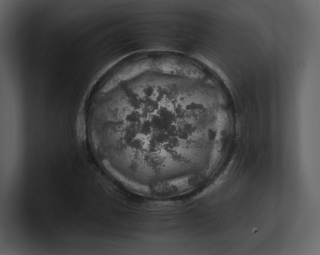 X0000100950925200807151334