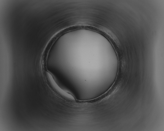 X0000100950926200807151334