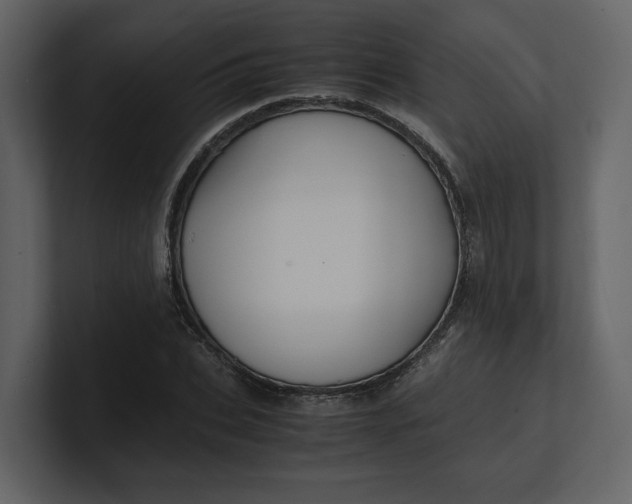 X0000100950927200807151334