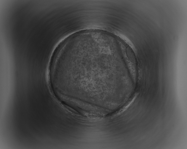 X0000100950928200807151334