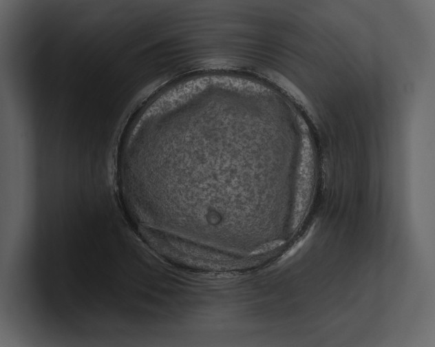 X0000100950930200807151334