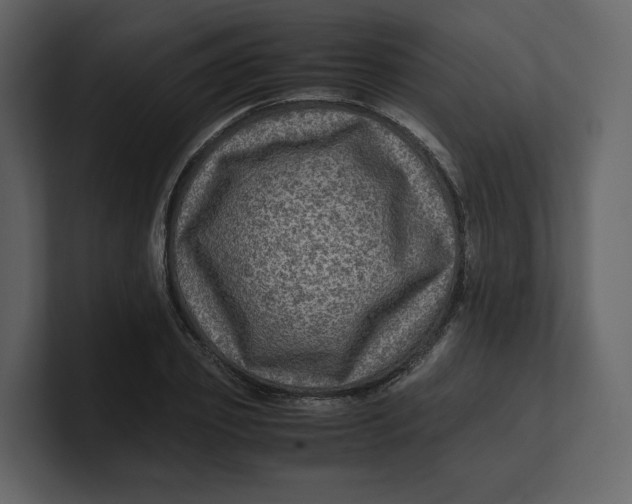 X0000100950933200807151334