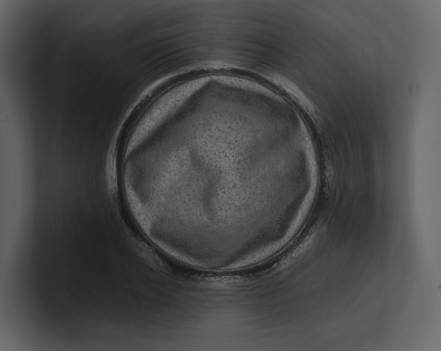 X0000100950934200807151334