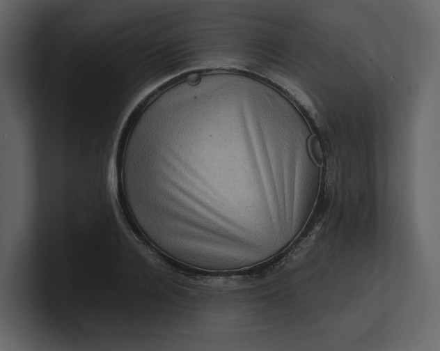 X0000100950936200807151334