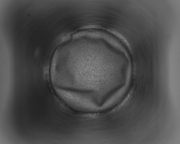 X0000100950937200807151334