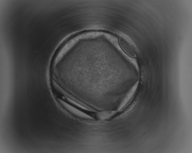 X0000100950942200807151334