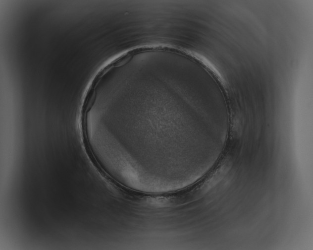 X0000100950943200807151334