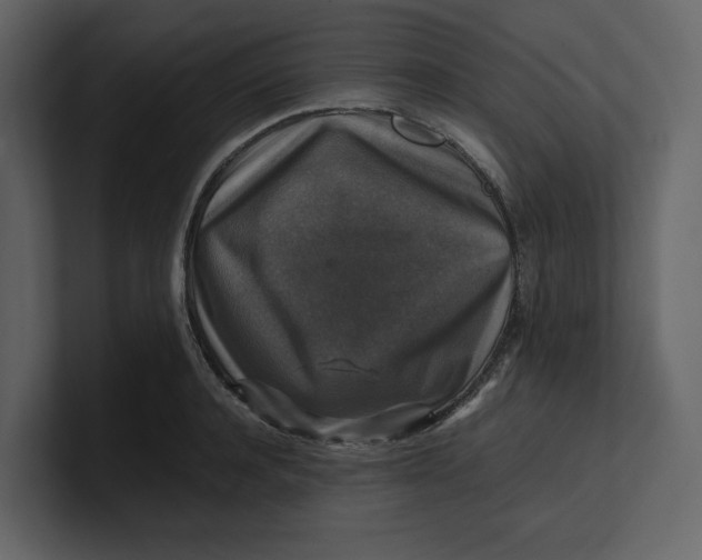 X0000100950944200807151334