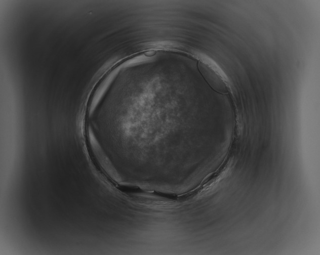 X0000100950946200807151334