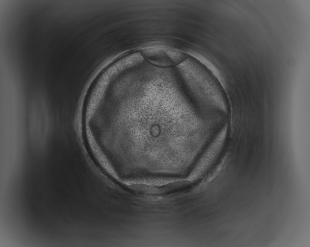 X0000100950949200807151334