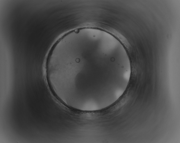 X0000100950950200807151334