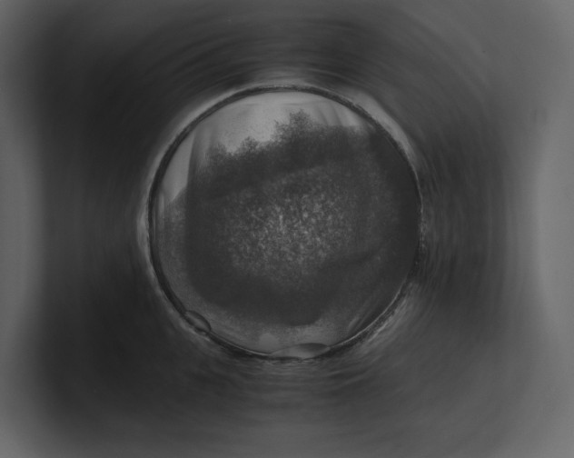 X0000100950951200807151334