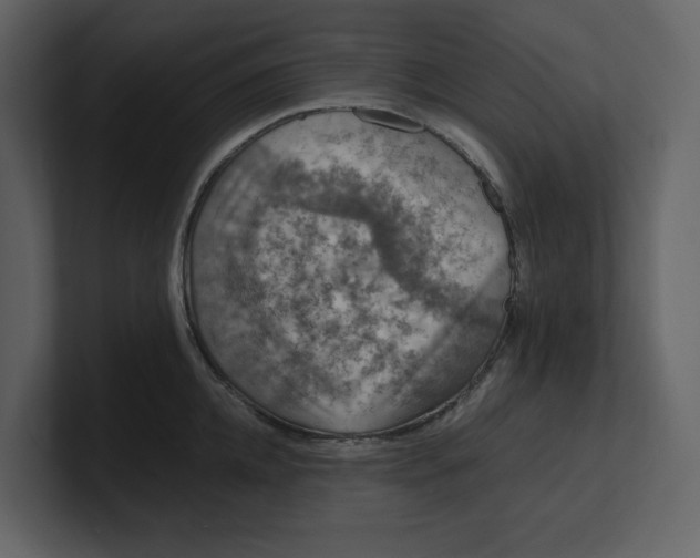 X0000100950952200807151334