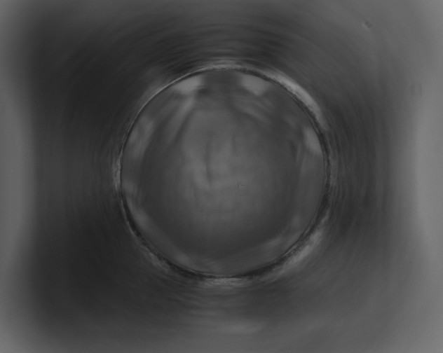 X0000100950953200807151334