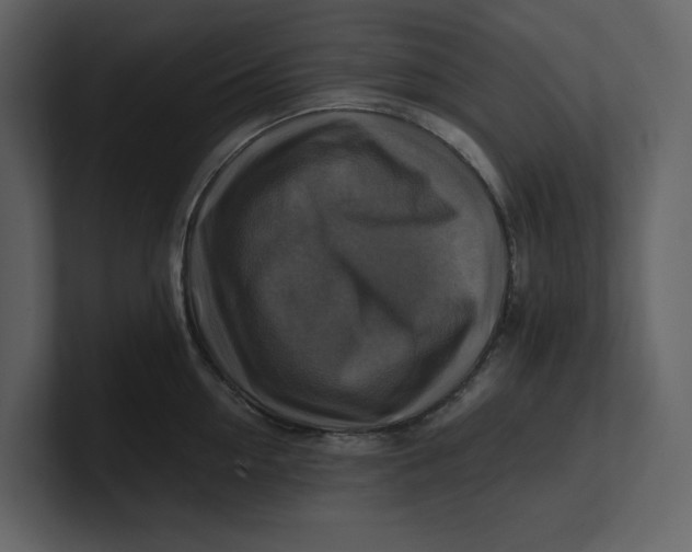 X0000100950954200807151334