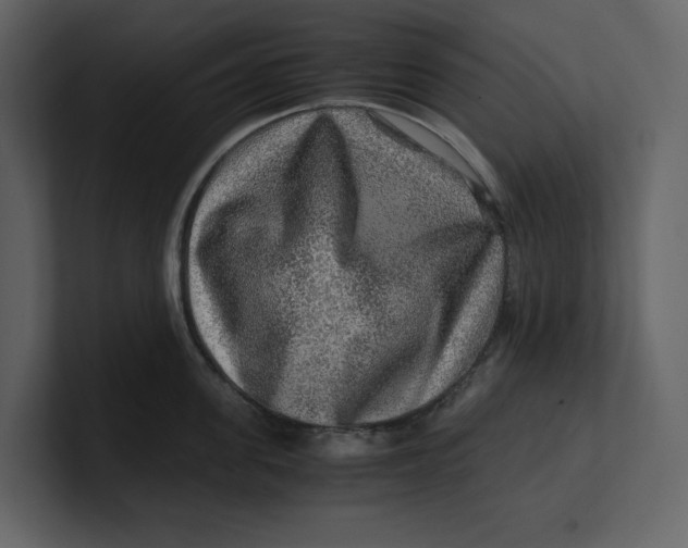 X0000100950955200807151334