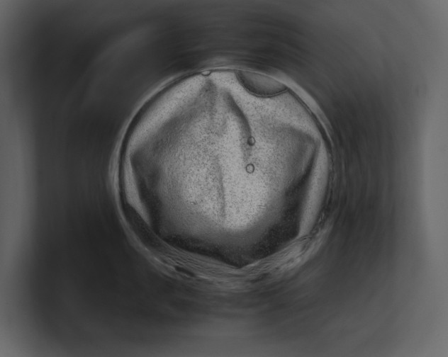 X0000100950957200807151334