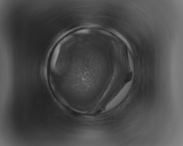 X0000100950959200807151334