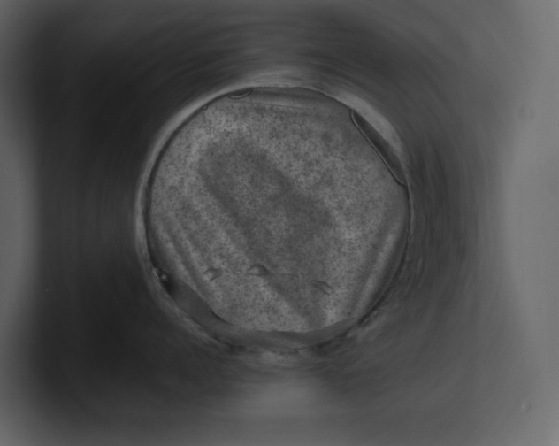 X0000100950960200807151334