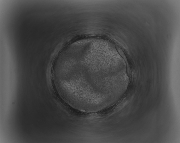 X0000100950961200807151333