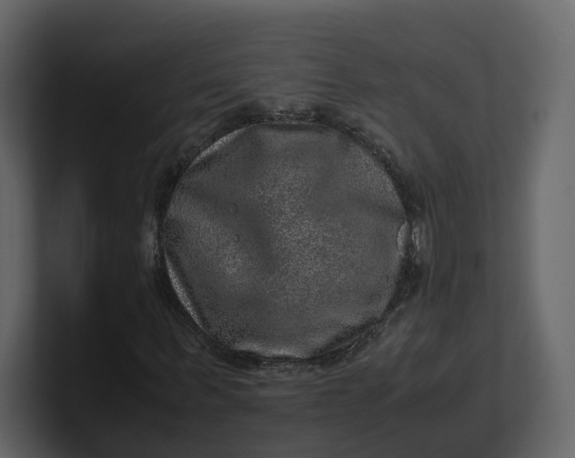 X0000100950963200807151333