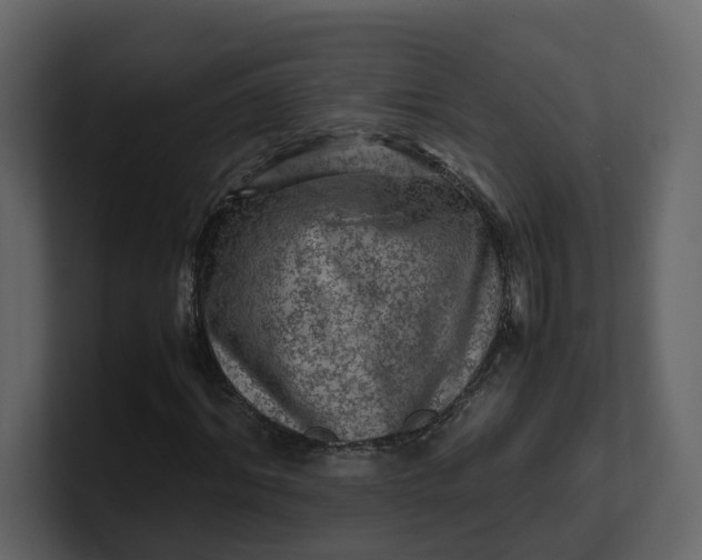 X0000100950964200807151333