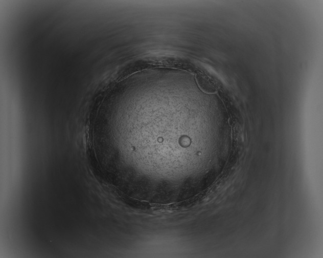 X0000100950965200807151333