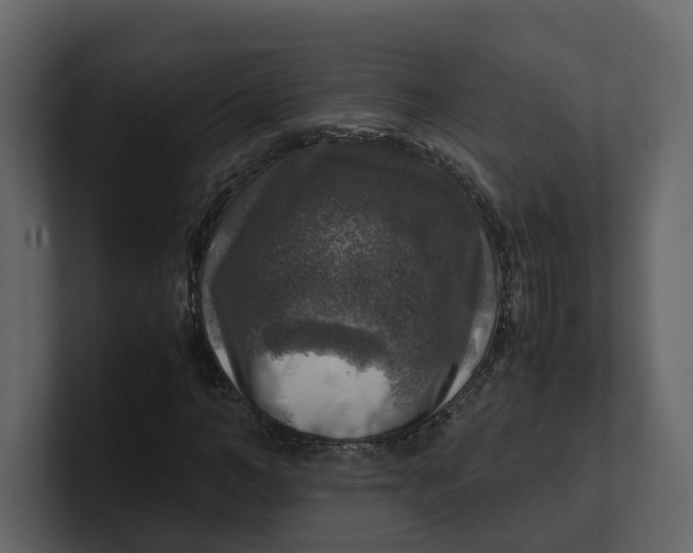 X0000100950966200807151333