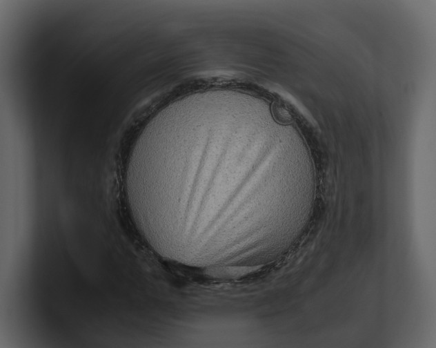 X0000100950967200807151333