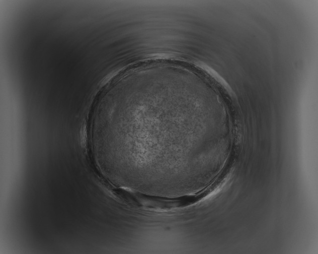 X0000100950969200807151333