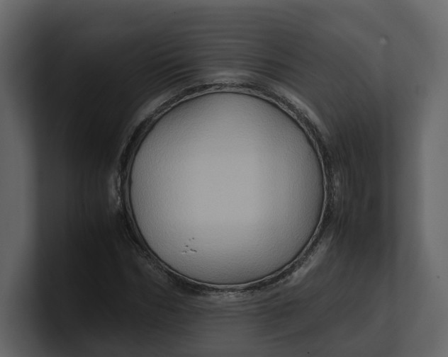 X0000100950970200807151333