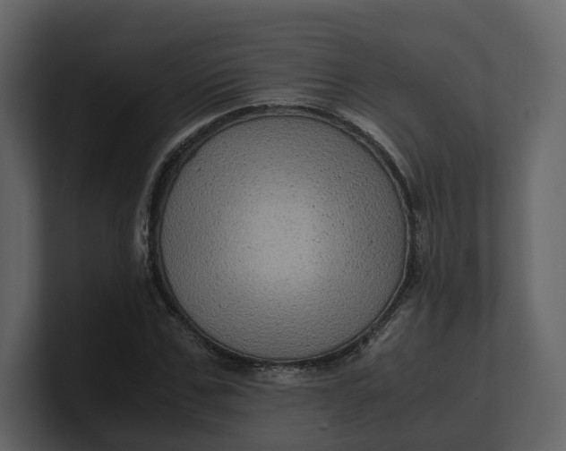 X0000100950971200807151333