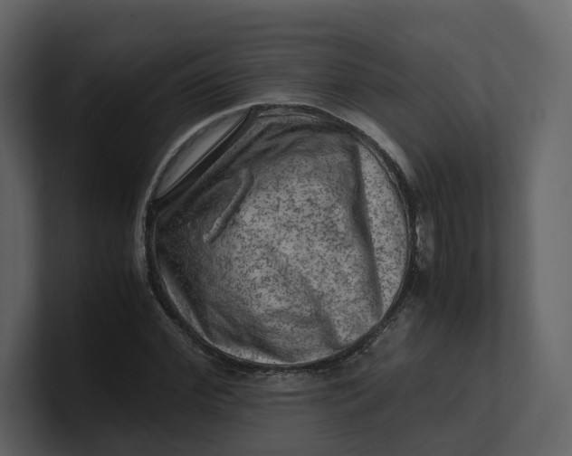 X0000100950972200807151333