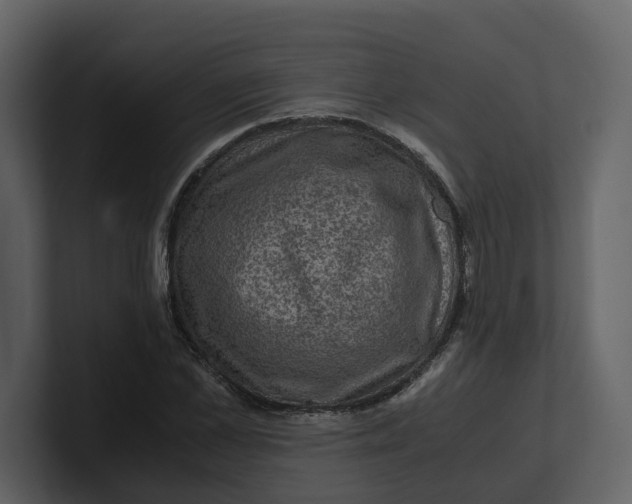 X0000100950973200807151333